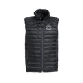 Hudson Vest / ASK