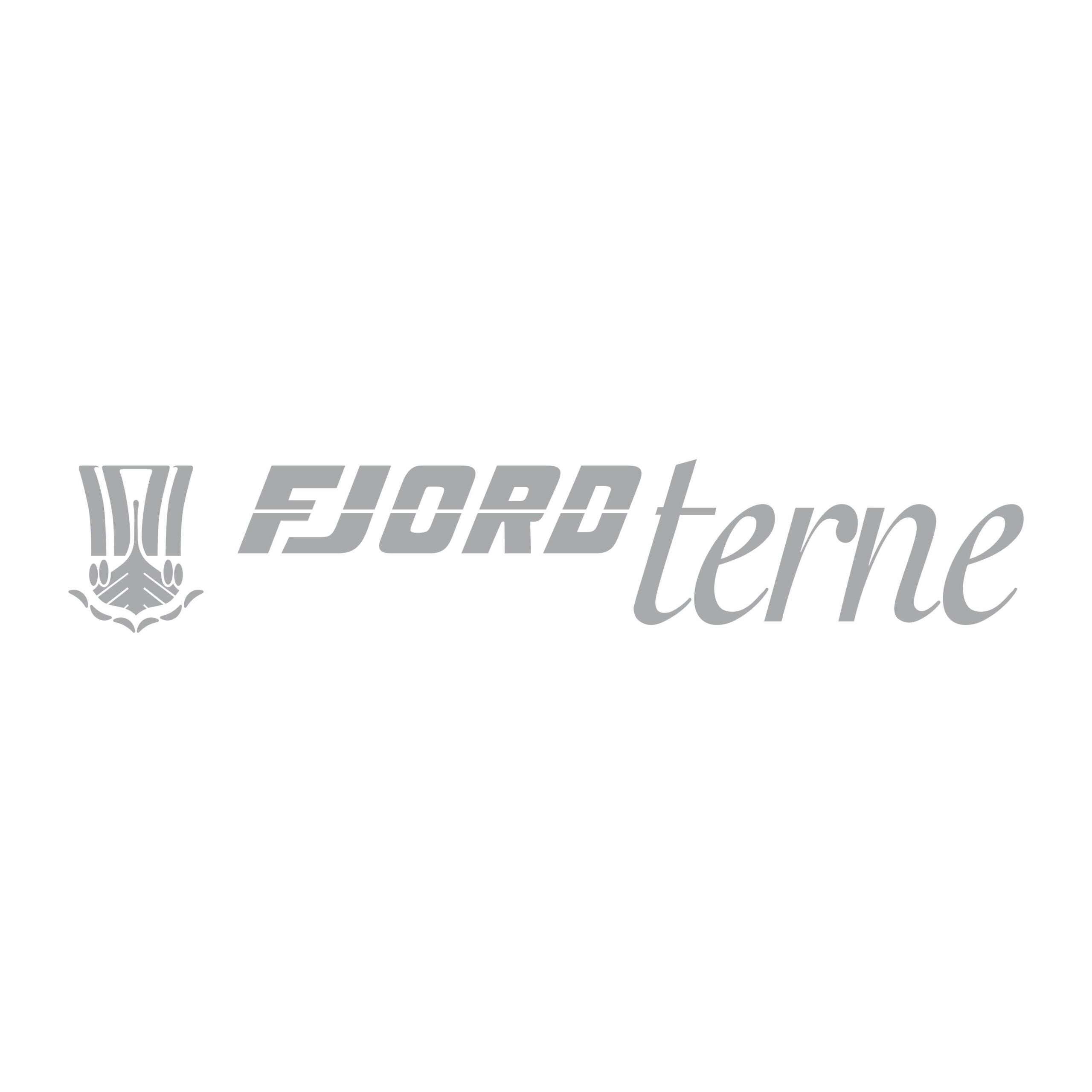 Båtlogo FJORD Terne